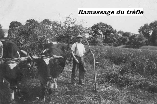 2025-Travaux-des-champs